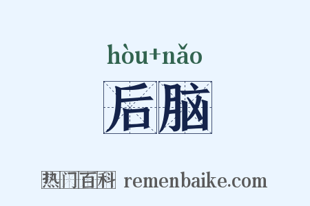 后脑是什么意思的图片